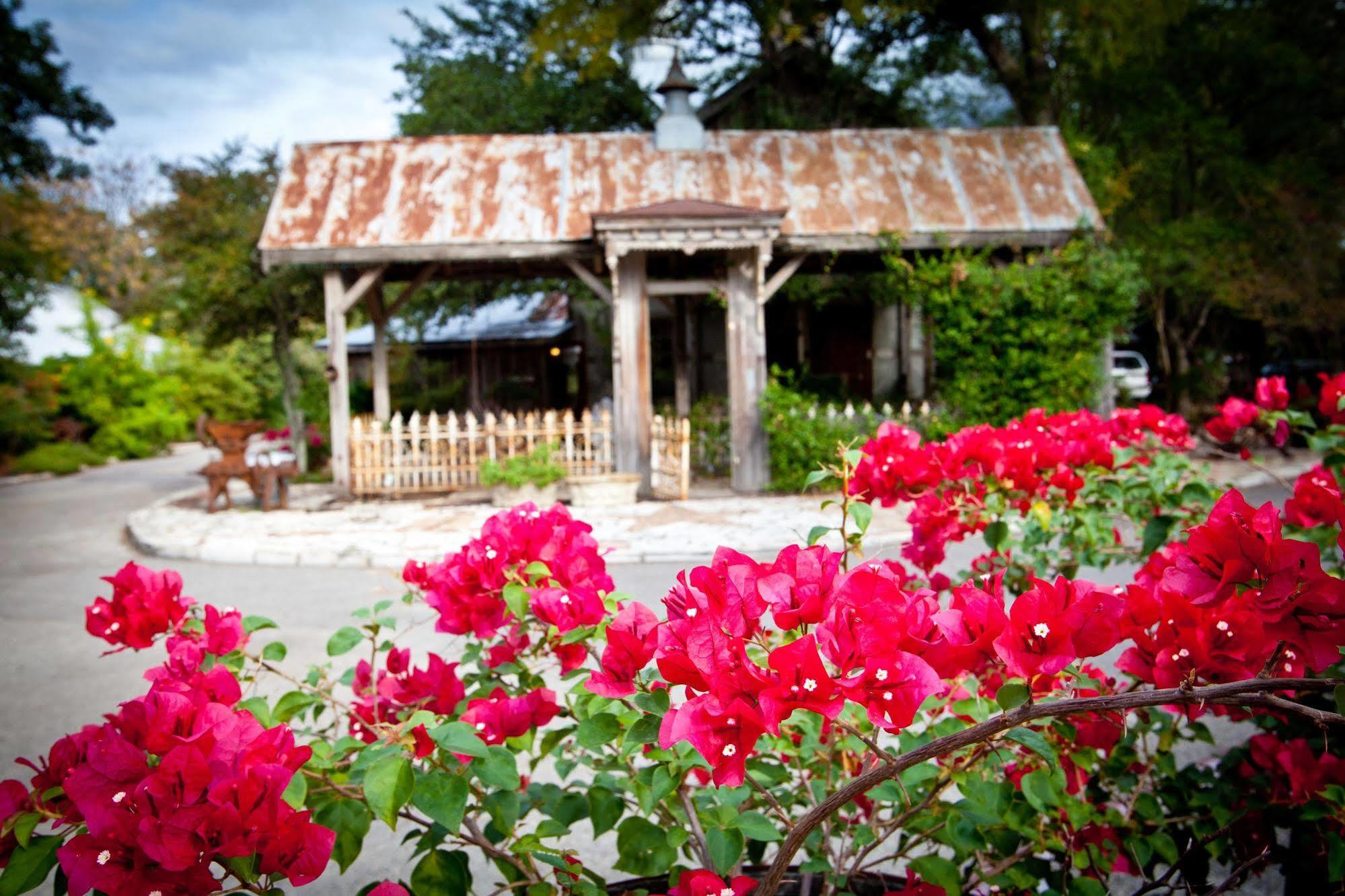 Gruene Mansion Inn New Braunfels Exterior photo